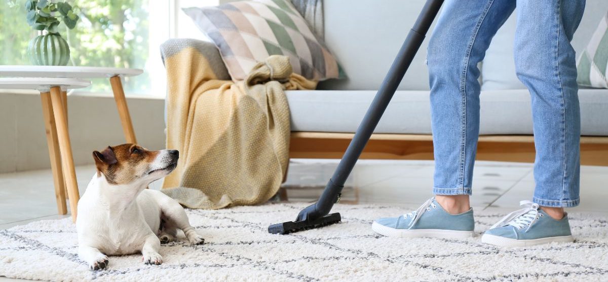nettoyage tapis professionnel pour des particuliers